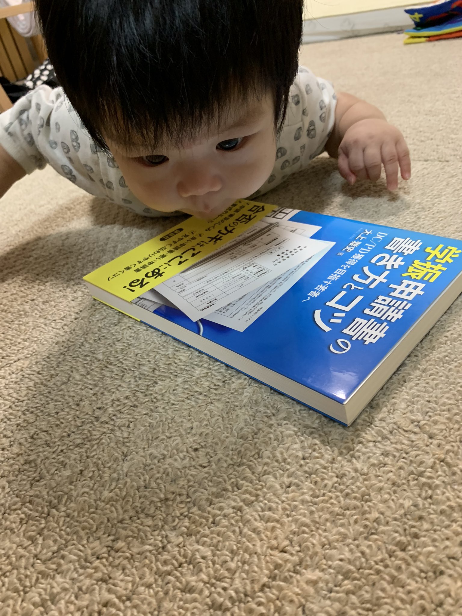 Uzivatel Ohue M 大上雅史na Twitteru 我が家の知育玩具https T Co ijh8ovvy Twitter