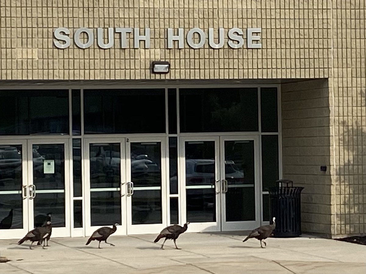 These students were not wearing masks or practicing social distancing, so they were not allowed in. Don’t be a turkey! See you all soon! <a href="/MPS_MethuenHigh/">Methuen High School</a> @MethuenDistrict