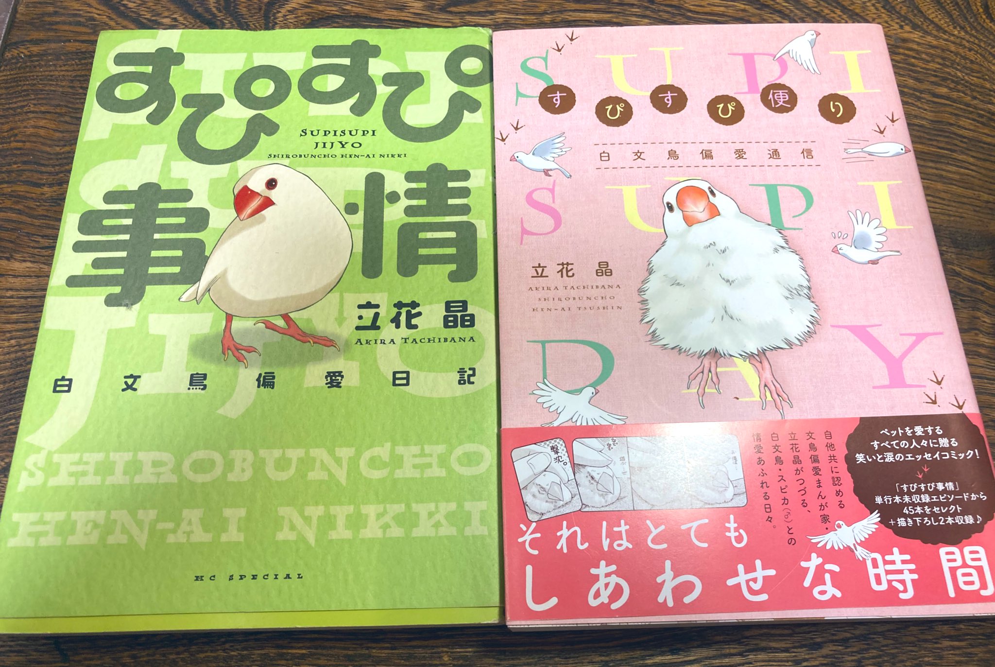 文 新木南生 鳥ぐらしvol4発売中 おひなさんシーズンがやってきます もしこれから文鳥さんをお迎え予定の方は お迎えの前にこちらの本など 飼育書を何冊か読んでおくのをおすすめします Amazonは売切だったので T Co 8n3tpglyeo T