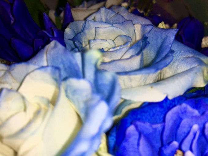 Twitterのコスプレ画像5