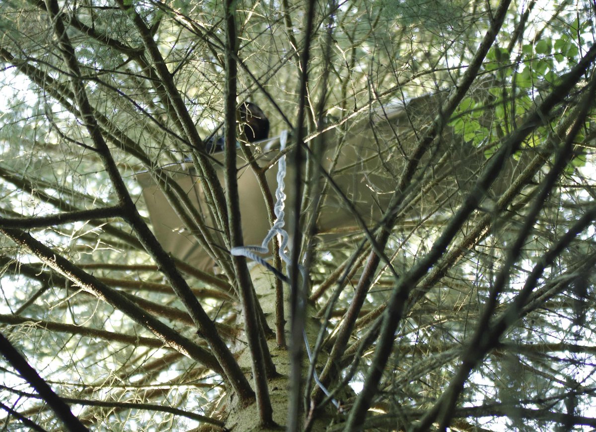 keinea49's tweet image. Bevor die Schotter-LKW der Cops nach @Danni_Azkaban fahren können, müssen sie an den neuen Barrikaden vorbei.

Aber die sind nicht nur im Weg, sondern tragend mit einem frei hängenden #Skypod verbunden, wo ein Mensch sitzt. @Polizei_MH, heute BITTE keine Menschenleben gefährden!