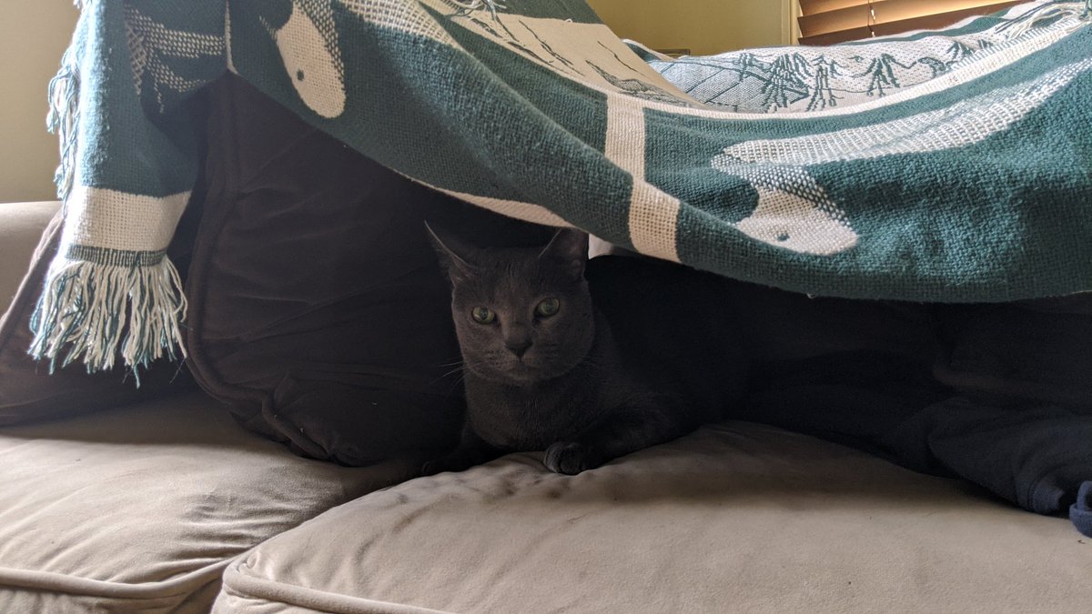 Eric Tobin 🏳️‍🌈 tweet media