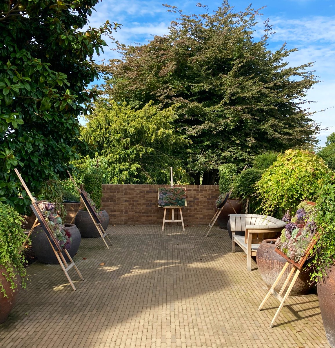 NoniSturge's tweet image. Love this 😊 #succulents in frames @RHSWisley 💚🌿