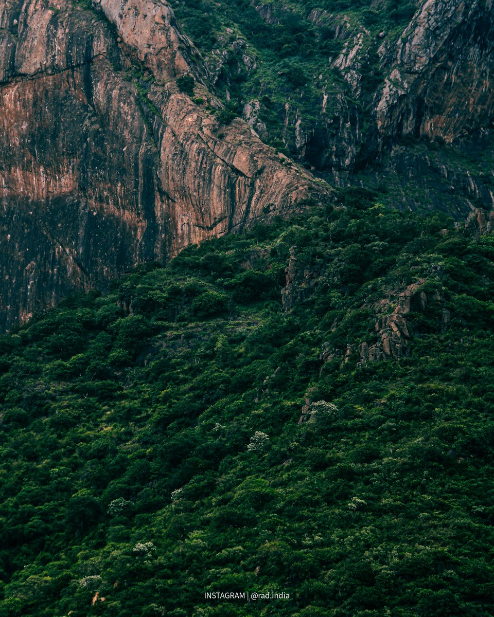 radkrz's tweet photo. Western Ghats
#mountain #nature #mountains #landscape #travel #hiking #photography #naturephotography #adventure #trekking #snow #sky #photooftheday #ig #travelphotography #landscapephotography #love #naturelovers #outdoor #a #winter #outdoors #instagood #montagna #picoftheday https://t.co/jdjMPDFFS6