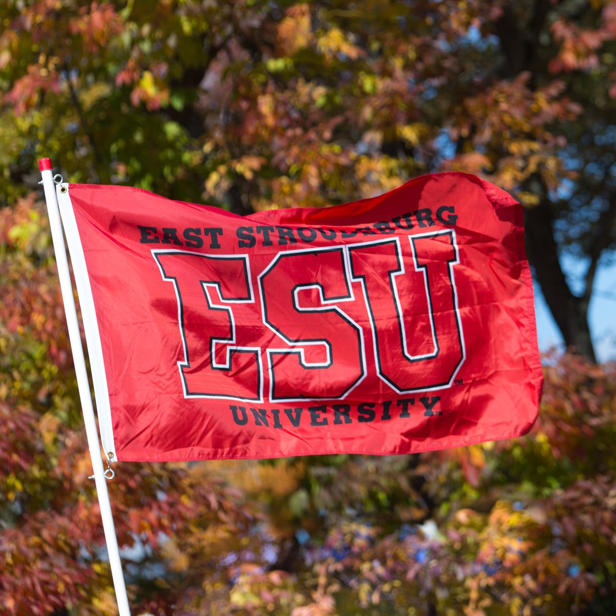 ESU Alumni Engagement and Annual Giving tweet media