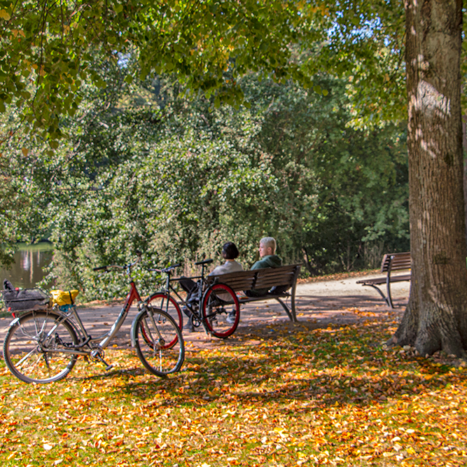 stadclickt's tweet photo. Het is de eerste dag van de herfst, en langzaam verkleurt het Noorderplantsoen van groen naar bruin. https://t.co/nmLOpfG8hZ
