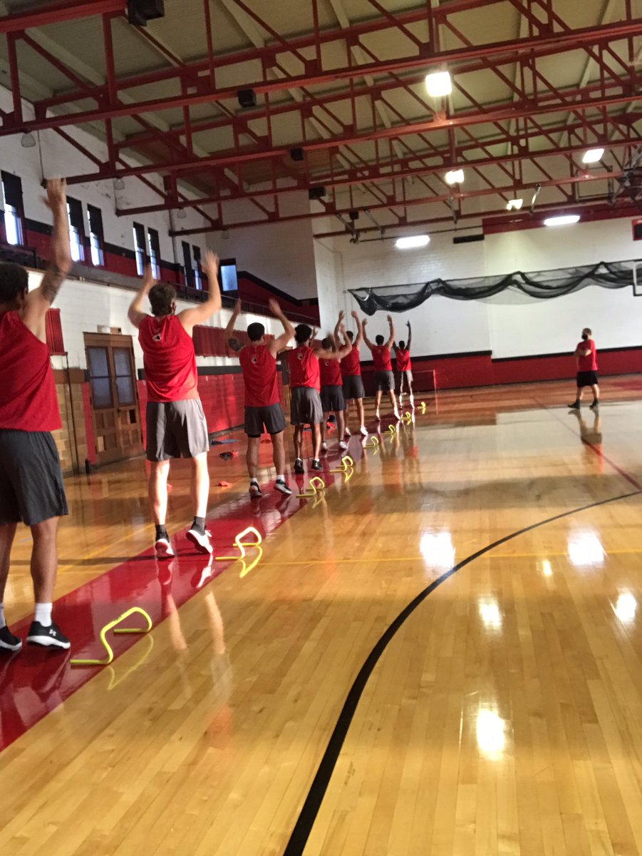 RavenMBB's tweet photo. Nice way to start the day ... Attack it! https://t.co/nXXXTHqPhW