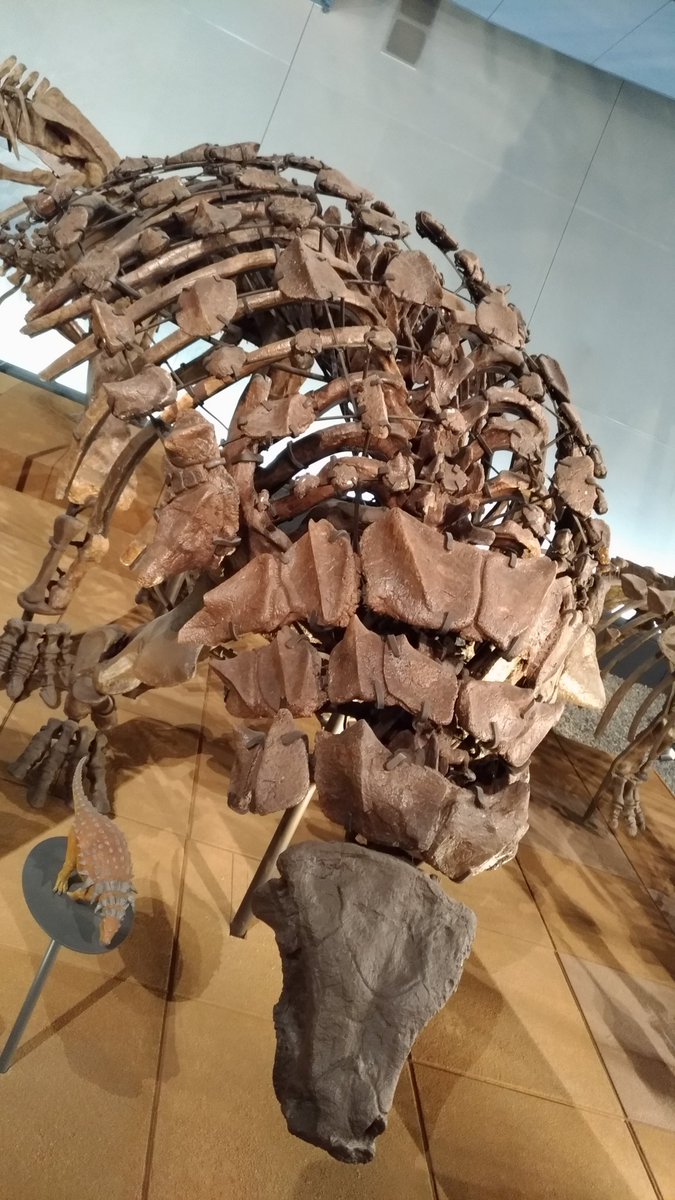 さのっち on Twitter: