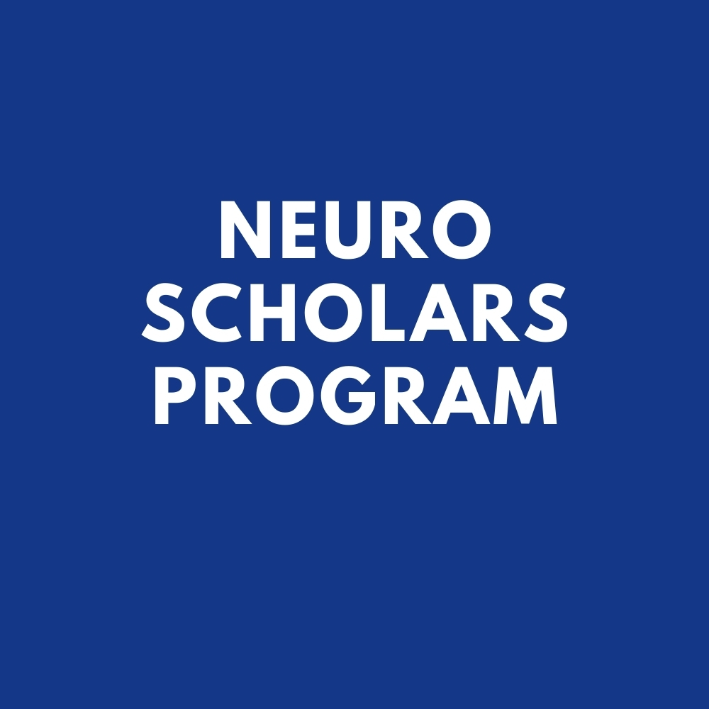 The NEURO Scholars Program is now accepting applications! Aimed at increasing diversity in neuroscience, the program will provide a stipend and match succesful applicants with a neuroscience mentor. Application and details: research.uky.edu/neuroscience