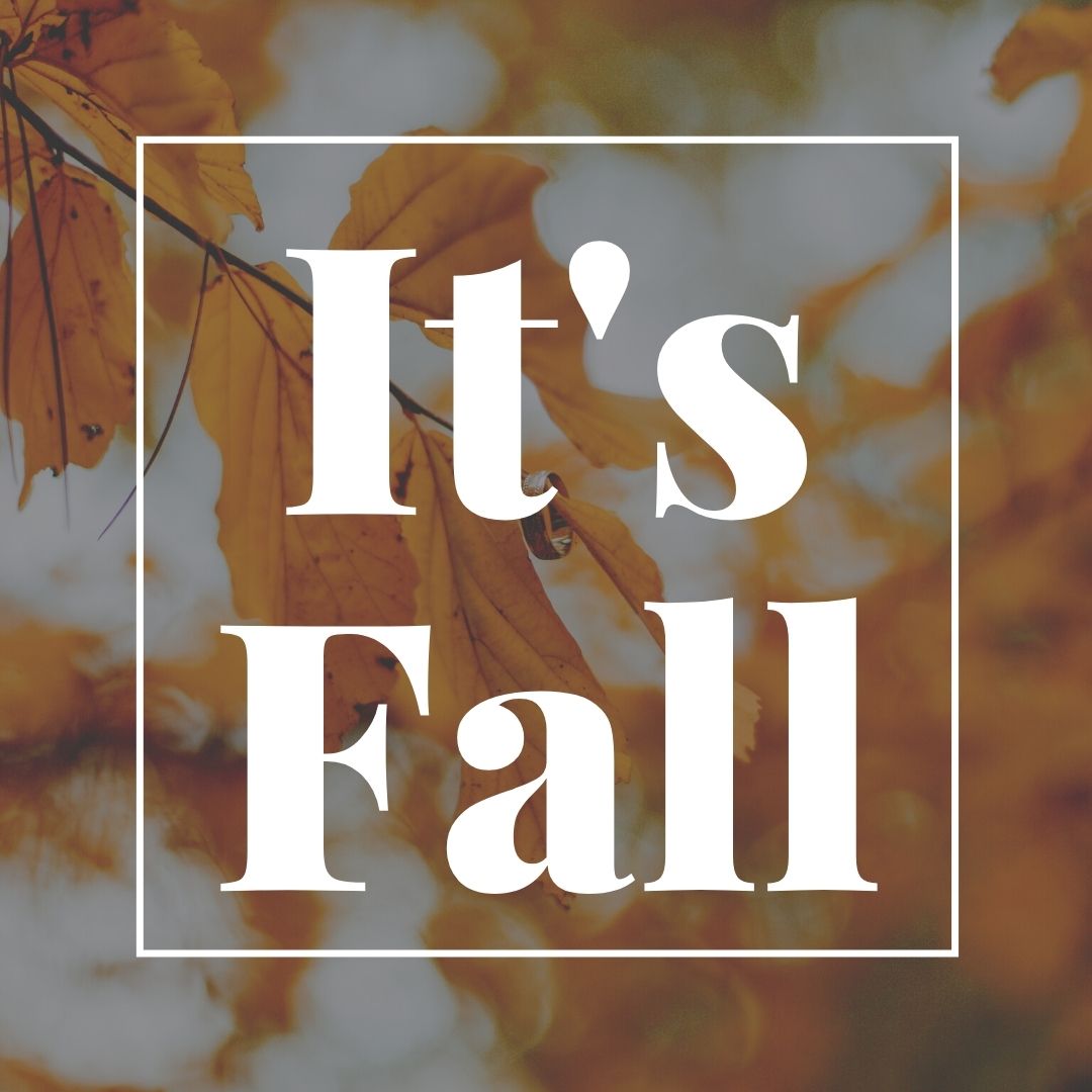 wibw's tweet photo. As of 8:31 a.m., it's officially fall.
What's your favorite part of fall?
#itsfall #timeforfall https://t.co/cGraUKHhVd