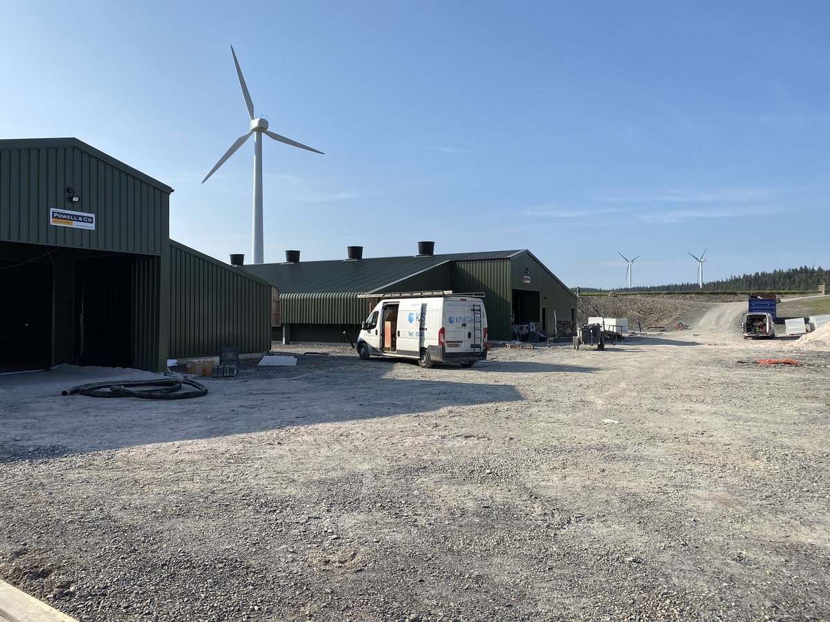 Anthony Litchfield tweet media