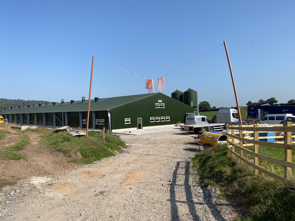 Anthony Litchfield tweet media