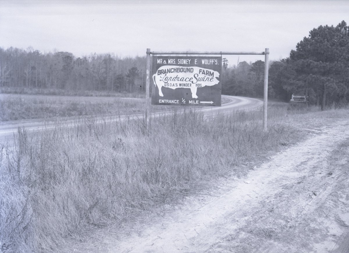 UofSC_SCPC's tweet photo. These farmers want you to be aware of their USDA "Wonder Hogs" at Branchbound Farm. #FarmAnimalsAwarenessWeek https://t.co/bjdtApXX1E
