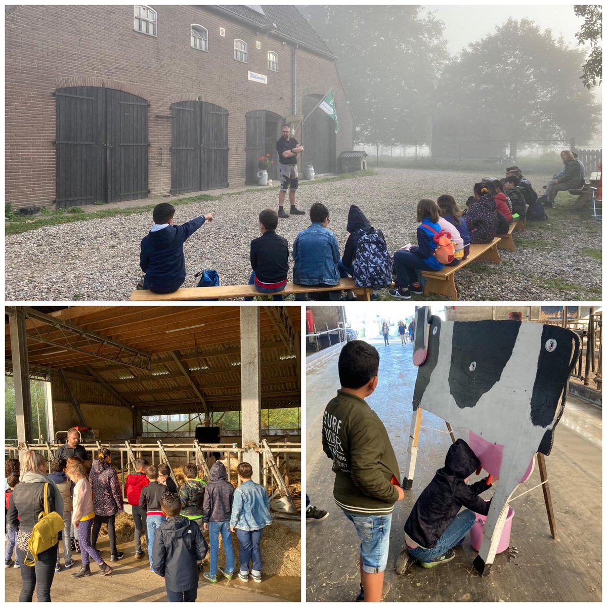 Wat een feest!! Vanmorgen is groep 5 van de Anton van Duinkerke school uit Bergen op Zoom op Klasseboeren Brabantse wal bezoek geweest.

Een mistige start van de buitenlesdag 😀 daarna werd het een zonnige, gezellige buitenlesochtend 🐮🐔🐱🐶

#melktap #biologisch