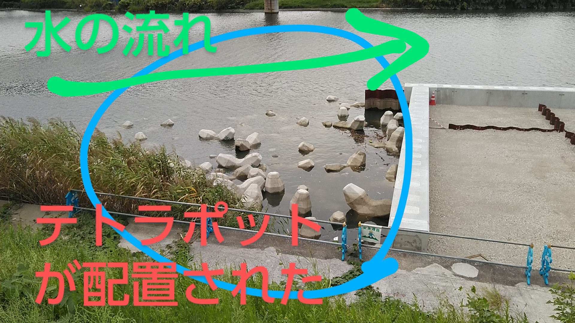 Mold Kurashi Mamoru Hatanokimie 正確には テトラポッド Tetrapod ですね Twitter