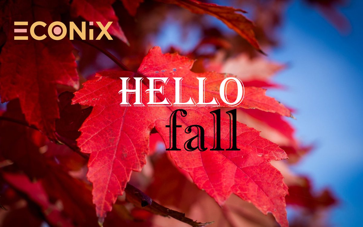 EconixInfoTech's tweet image. Happy First Day of Fall! #teameconix #econixinfotech
