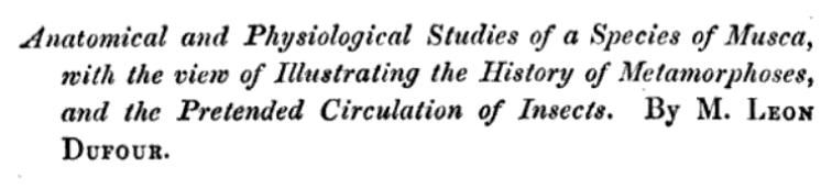 Between 1744 - 1930s, entomologists argued as to whether insects even had blood! Or a circulatory system!Circulation in wings was established in the 1830s (the Carus Rule), but Leon Dufour (1841) declared no such circulatory system existed /5