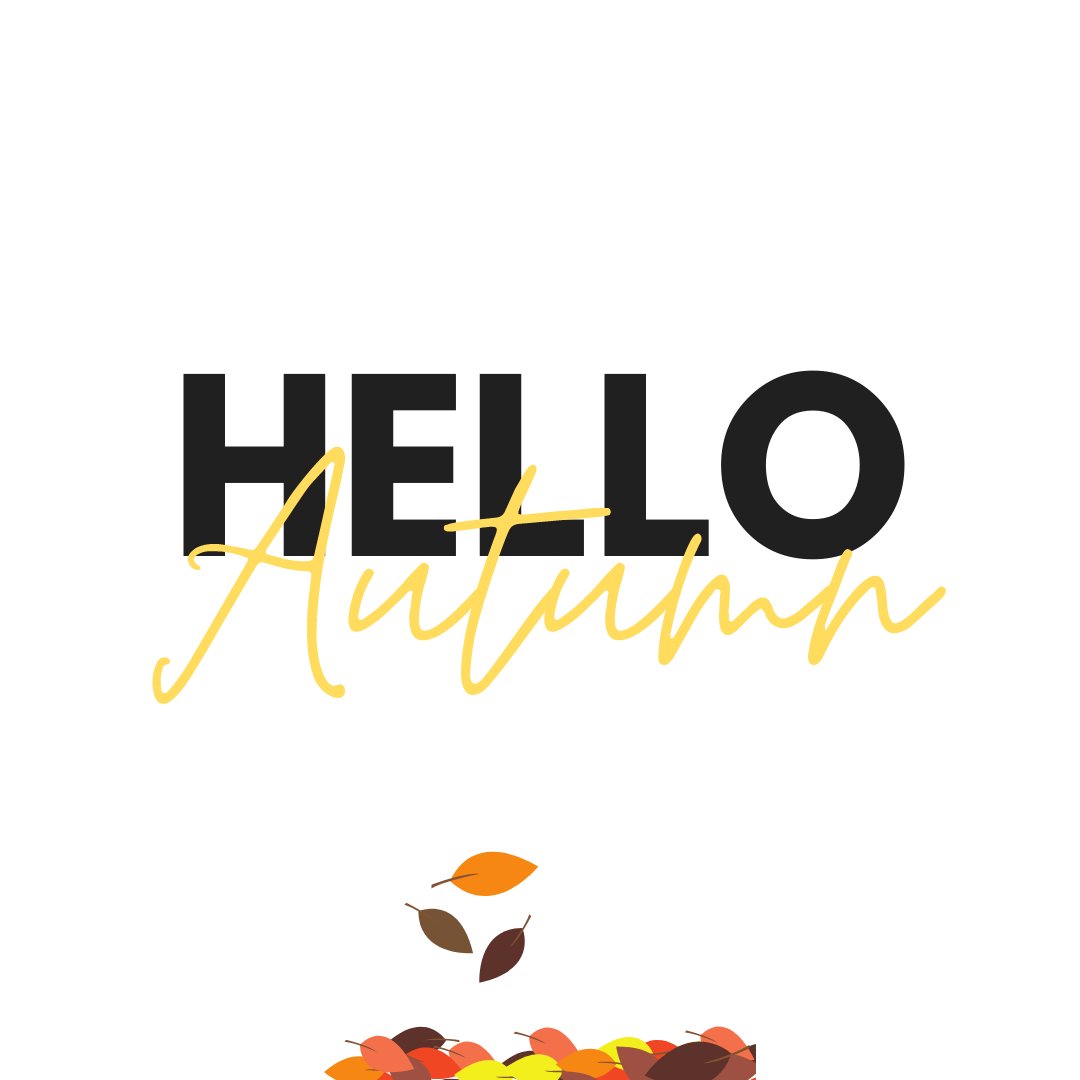 MelvaSmithDance's tweet photo. Hello Fall! We’ve shared some of our studio values this last week, now we want to know what values stand out to you at MSSoD?

 #hellofall #values #family #dance #dancelife #leaders #encourage #mentor #appreciation #dancer #leadership #mssodjustkeepdancing https://t.co/z1qMRvqgqE