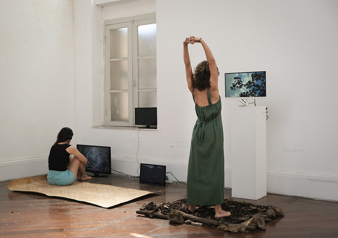 Rafaela Rocha tweet media