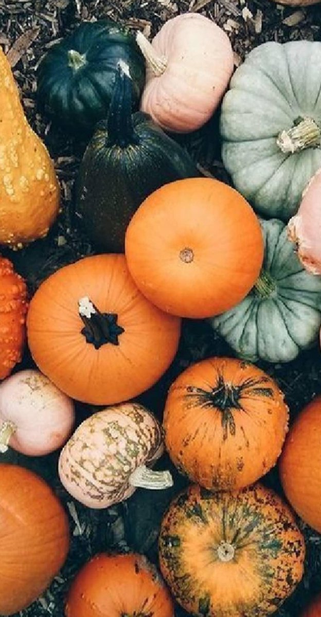 PalmeraMagazine's tweet photo. Inspiración de #otoño que encontramos en #Pinterest 🧡🍂🍁🌰 https://t.co/6VsvpHFUI0  
#FelizMartes https://t.co/kBrX96RXFh