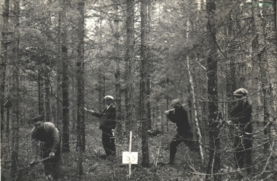 Paul Gaskin 🌲🍁 🌲 (he/il/él) (@paulgaskincfs) on Twitter photo Tomorrow is #NationalTreeDay! For generations, the <a href="/NRCan/">Natural Resources</a>-Canadian Forest Service has maintained two world-class national research forests that educate the public and help to preserve our #trees for a healthy future.
#NationalForestWeek
nrcan.gc.ca/science-data/r… Tomorrow is #NationalTreeDay! For generations, the <a href="/NRCan/">Natural Resources</a>-Canadian Forest Service has maintained two world-class national research forests that educate the public and help to preserve our #trees for a healthy future.
#NationalForestWeek
nrcan.gc.ca/science-data/r…