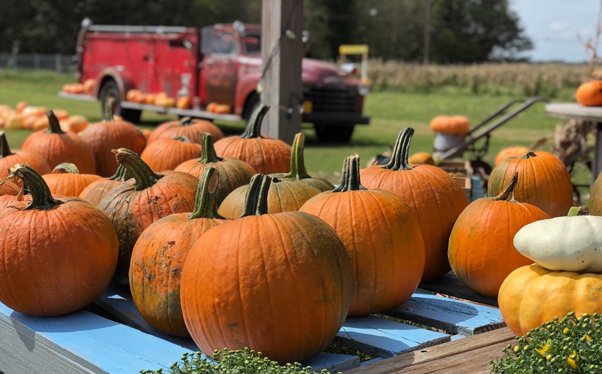 USDA's tweet photo. Wishing all a safe and bountiful harvest this season. Happy #FIrstDayofFall! https://t.co/J340Mb5IFT