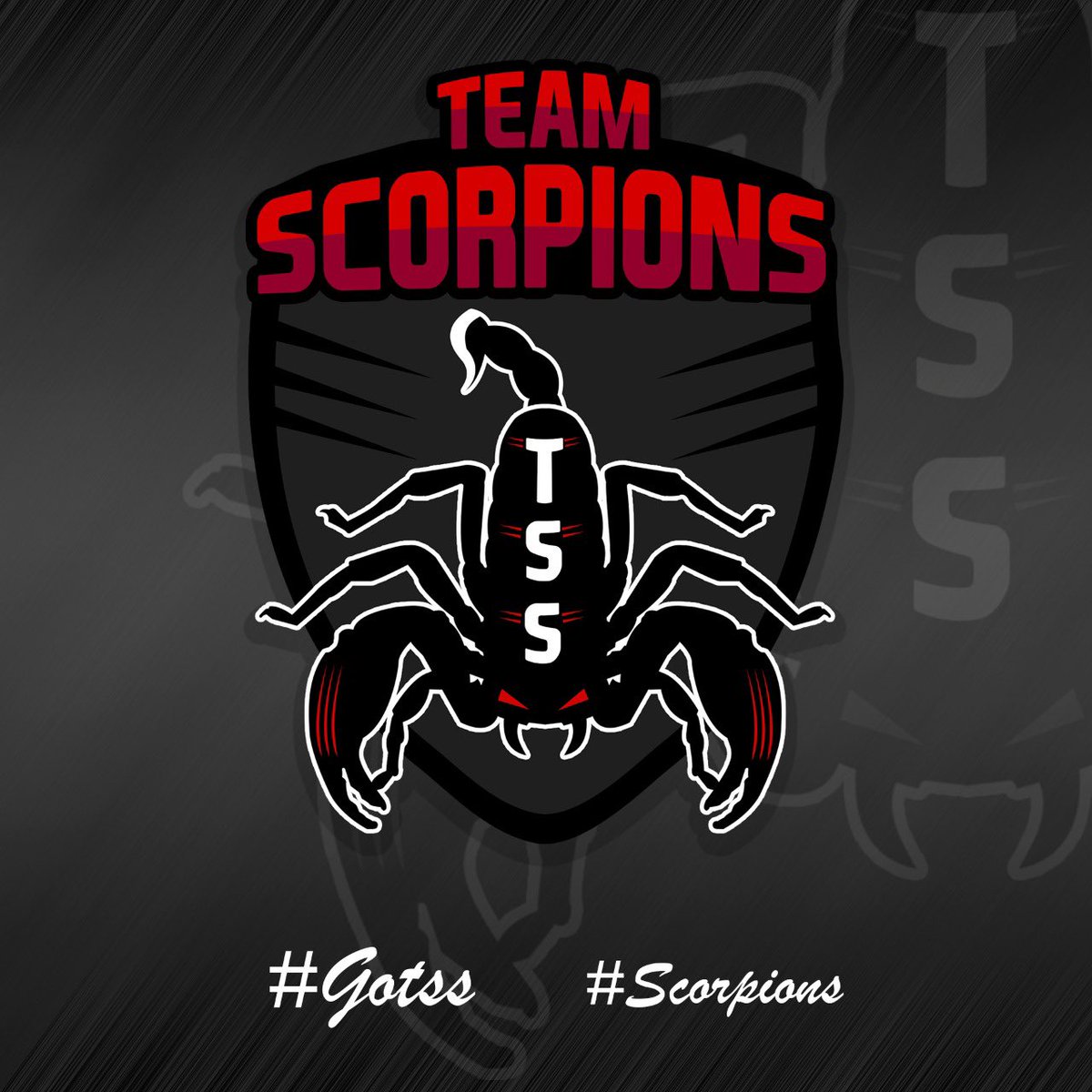 Não é só um Nome 🦂
#GoTSS
#Scorpions 
Feito por <a href="/magareckdesign/">Magareck</a>