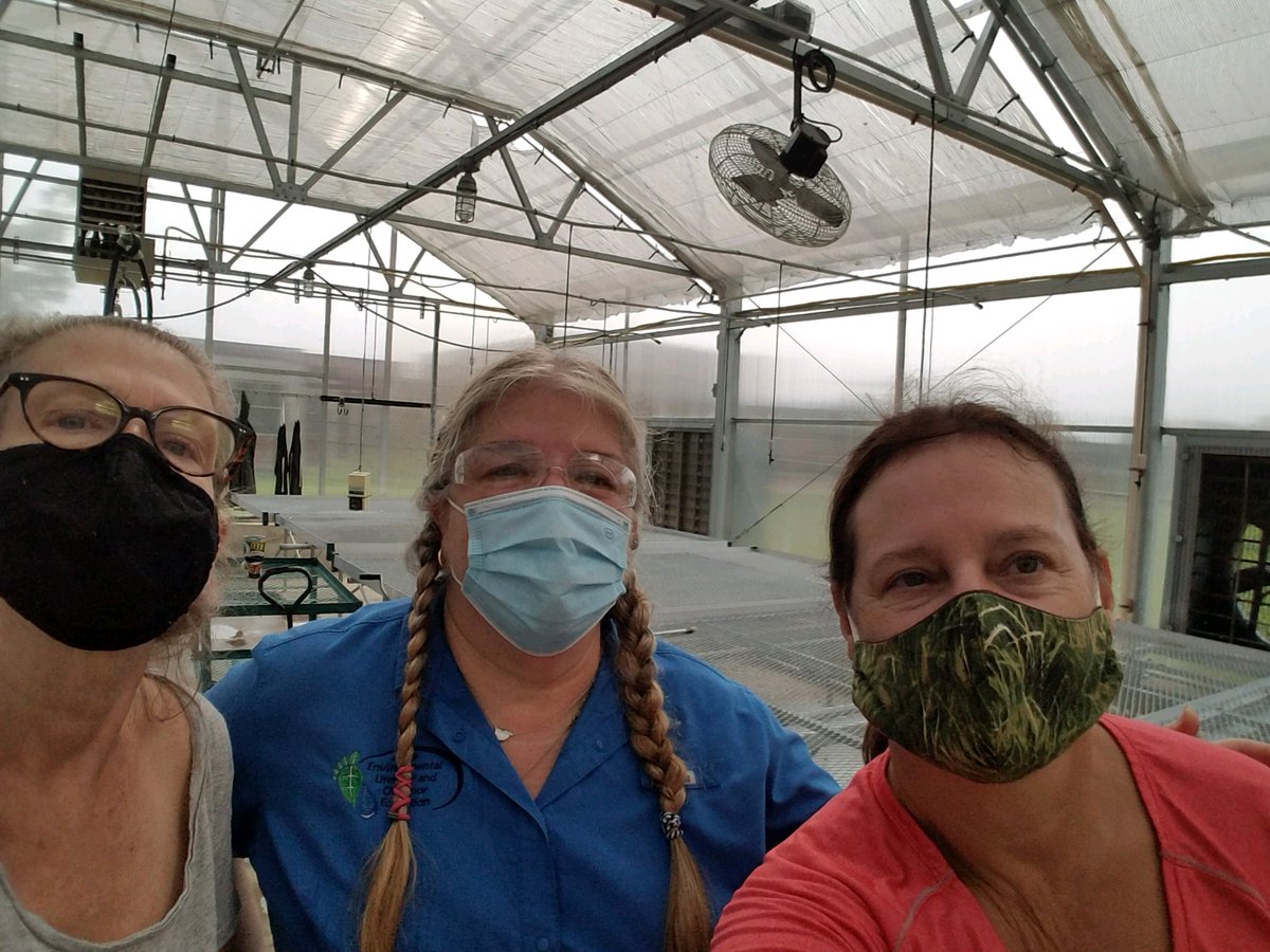 AEchoEnvEdAACPS's tweet photo. Last week, volunteers Nan and Barb helped #AEstaff Sheen sterilize the Phoenix Academy greenhouse to start production of native plants for spring programs! #volunteersmatter #outdooreducation #environmentalliteracy https://t.co/CJMKQz2IaM