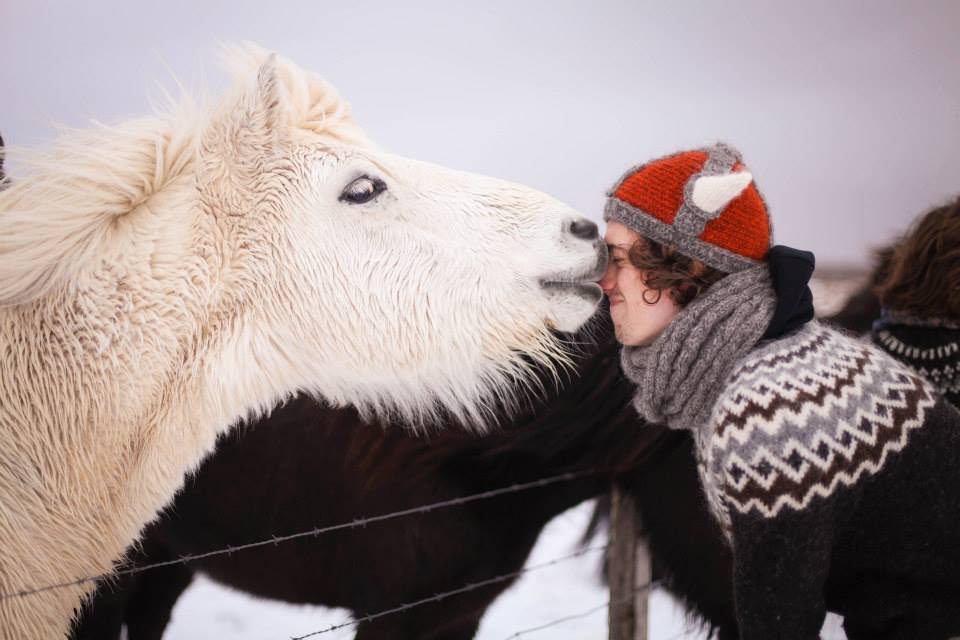 TheLostCompass1's tweet image. Breathtaking landscapes, #knitting under the #NorthernLights, #hiking in #Viking settlers footsteps, #sailing &amp;amp; #kayaking thru majestic #fjords, read the many ways you can explore #Iceland with Understand Iceland @StudyIceland thelostcompass.ca/post/understan…