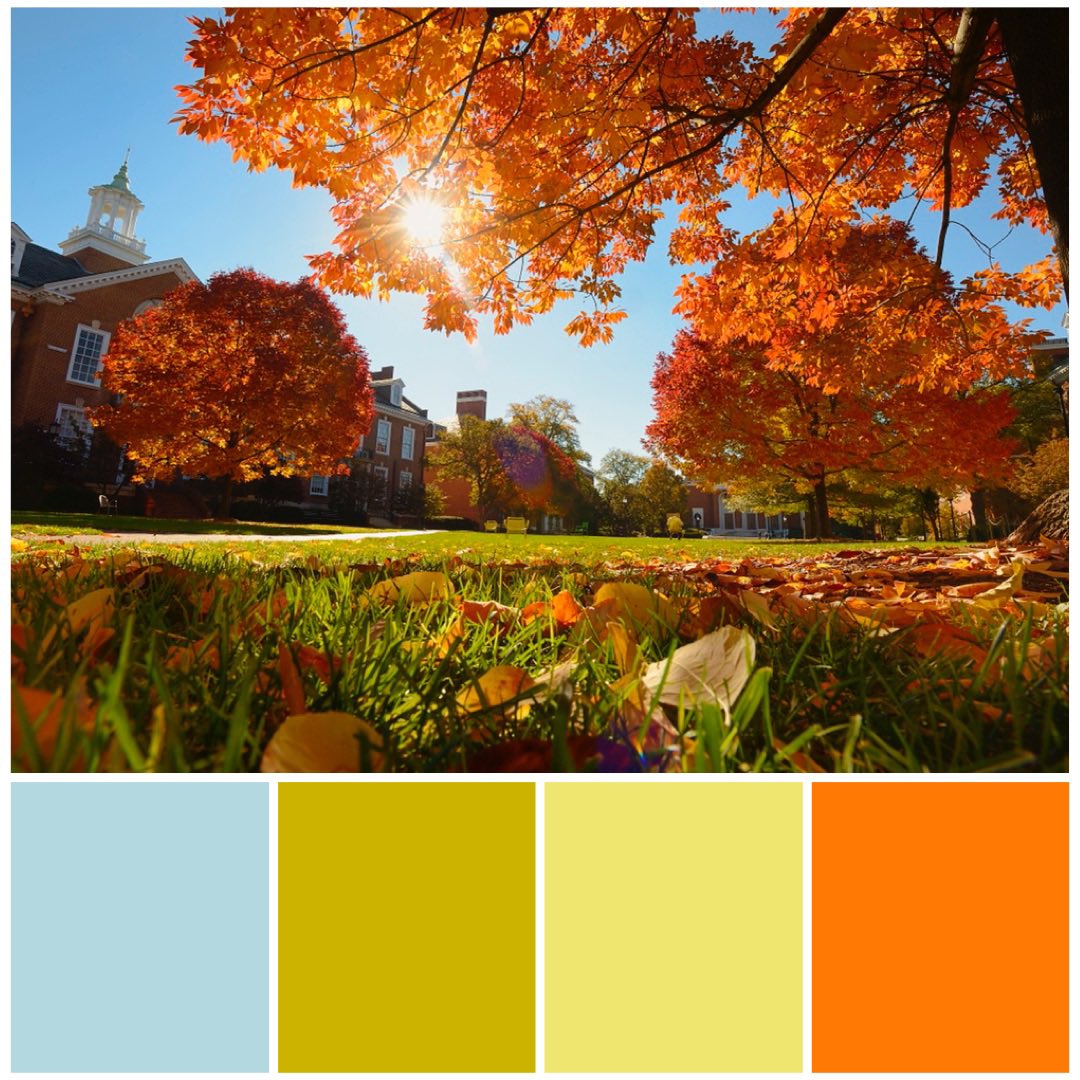 JHUArtsSciences's tweet photo. Happy fall y’all. 🍂 Thanks @NatlParkServlce for the #NPSColorForecasting inspo. https://t.co/4BOgjia40L