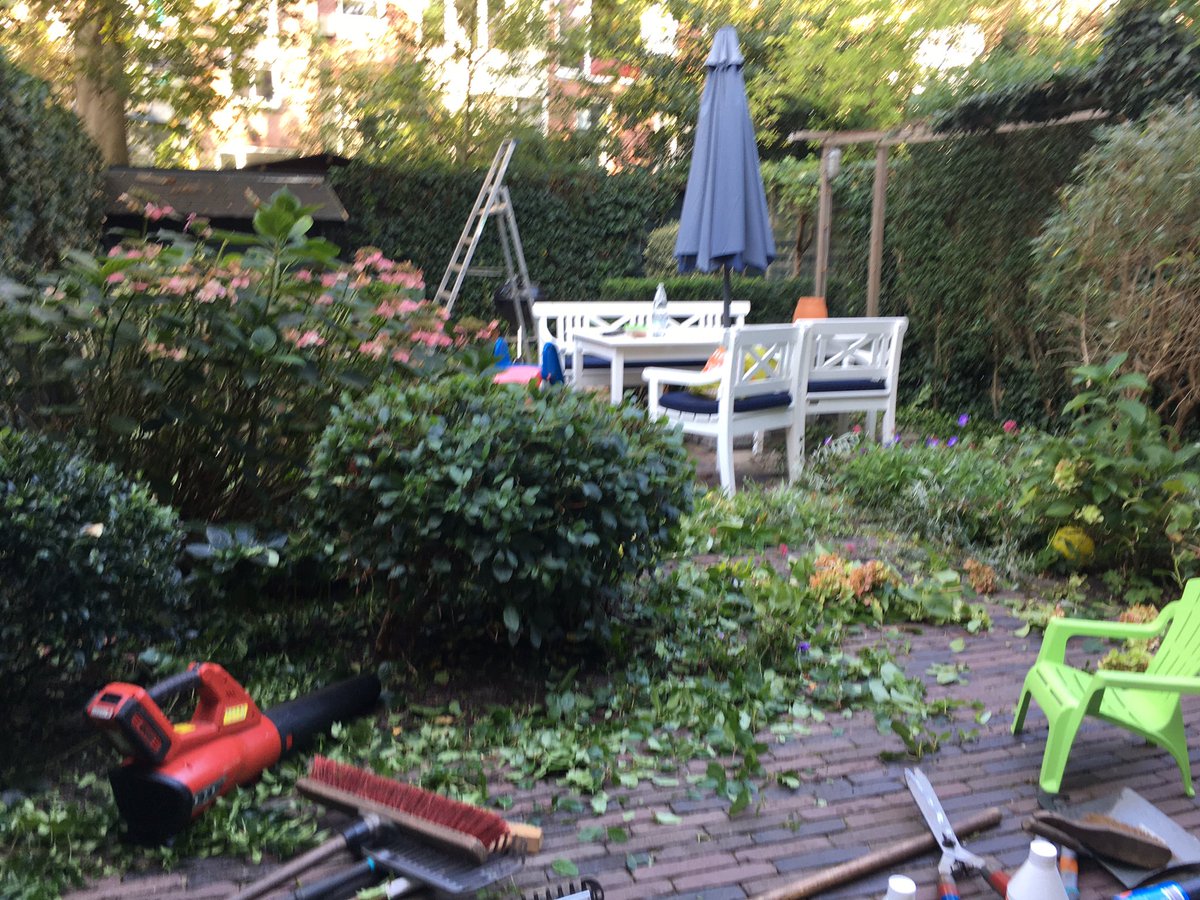 #tuinonderhoud#tuinonderhoudwerk#snoeiwerk aan hagen,heesters,vaste planten en klimplanten#groenonderhoud#hovenierswerk#herfstbeurt#najaarsbeurt👨🏼‍🌾🌿🌱🌸✂️