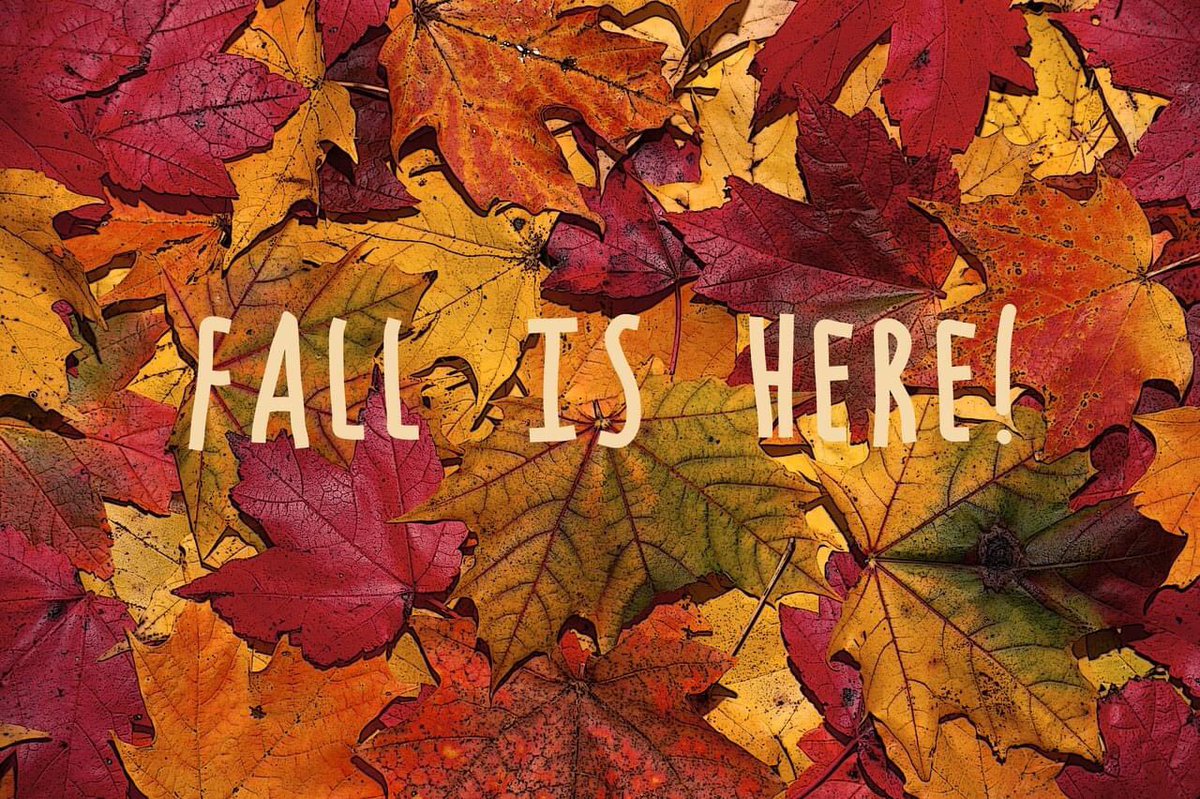 criswinter412's tweet photo. Happy Fall! #fall #fall2020 #fallvibes #fallishere #startoffall #autumn #autumn2020 #autumnvibes #AutumnEquinox #FallEquinox https://t.co/iKLQJPob9Y
