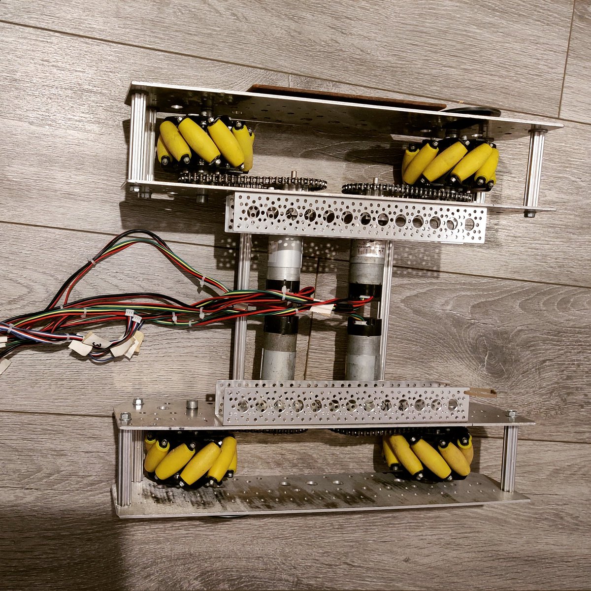 This all that's left of Fluffy. Rest in peace old friend.