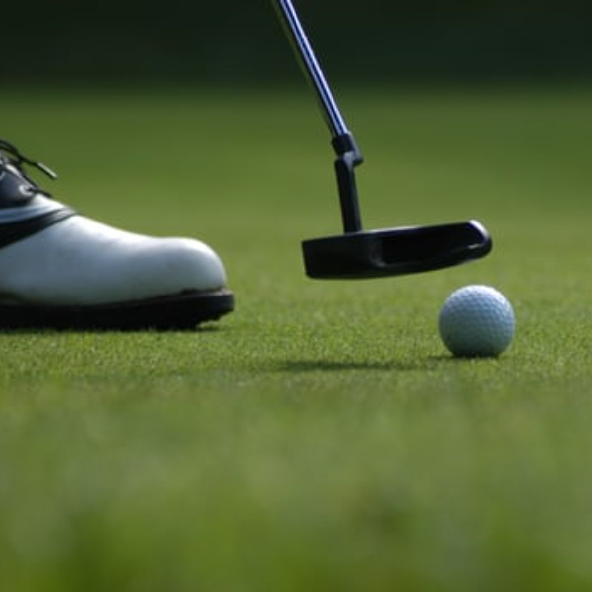StJamesBayGolf's tweet photo. From putting and pitching to chipping and driving, our golf lessons will help you improve your skill set and lower your scores. Click the link to learn more: https://t.co/m7medy6ghU. https://t.co/gOcjiDxYn4