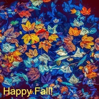 BeBalancedND's tweet image. 🍂 Embrace this season of change.🍂

#happyfall #firstdayofall #autumnequinox #happyfallall