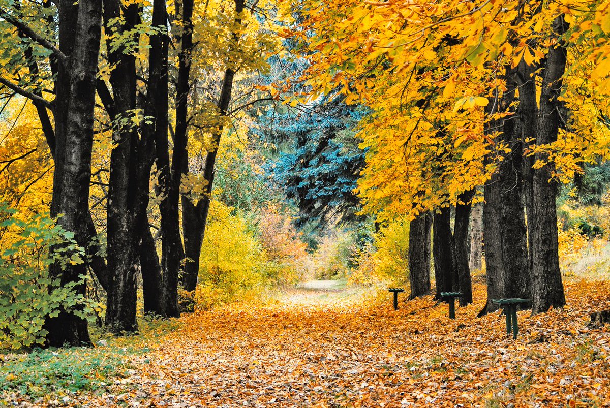 Happy Fall! First day of Fall beings today! #firstdayoffall