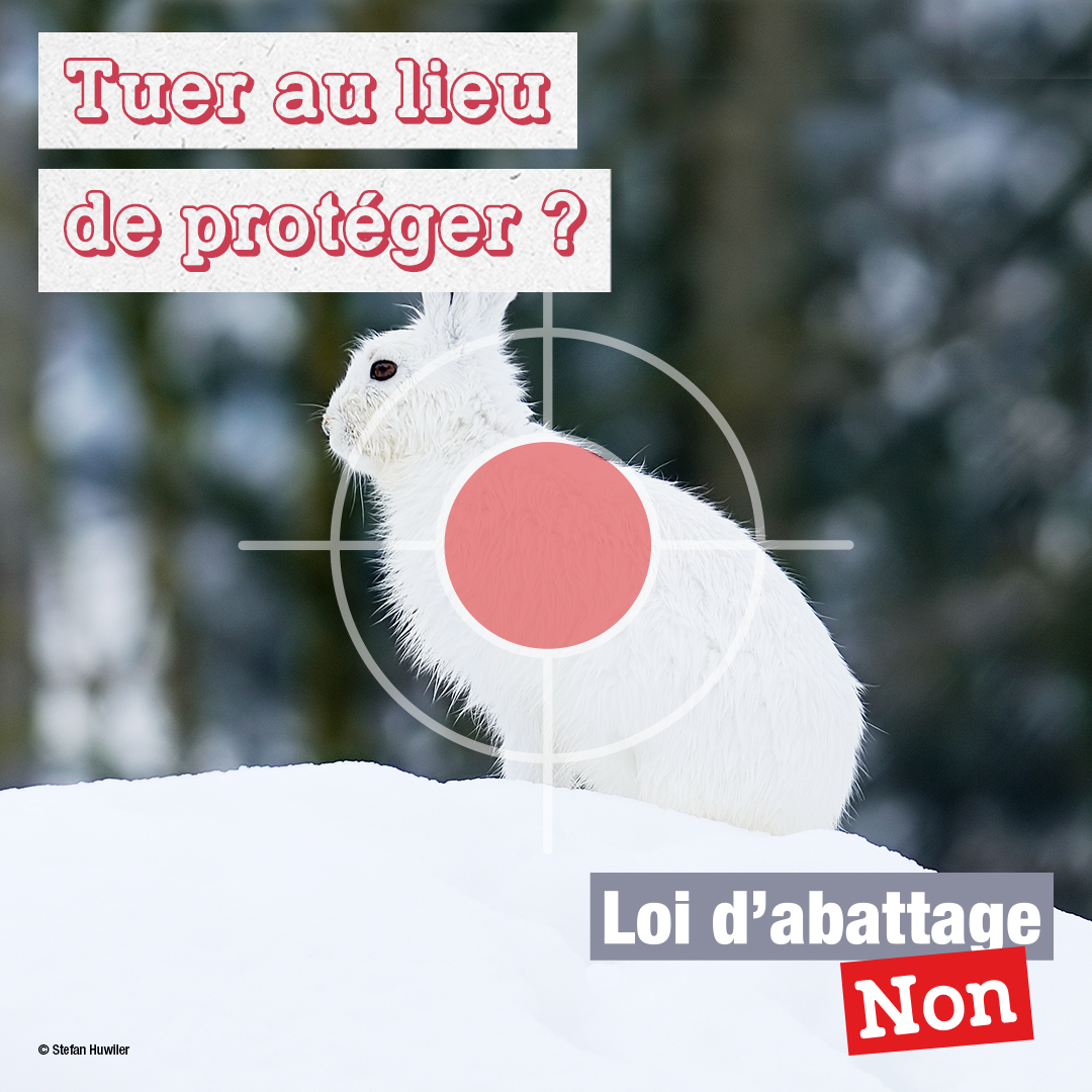 Loi d'abattage - NON! tweet media
