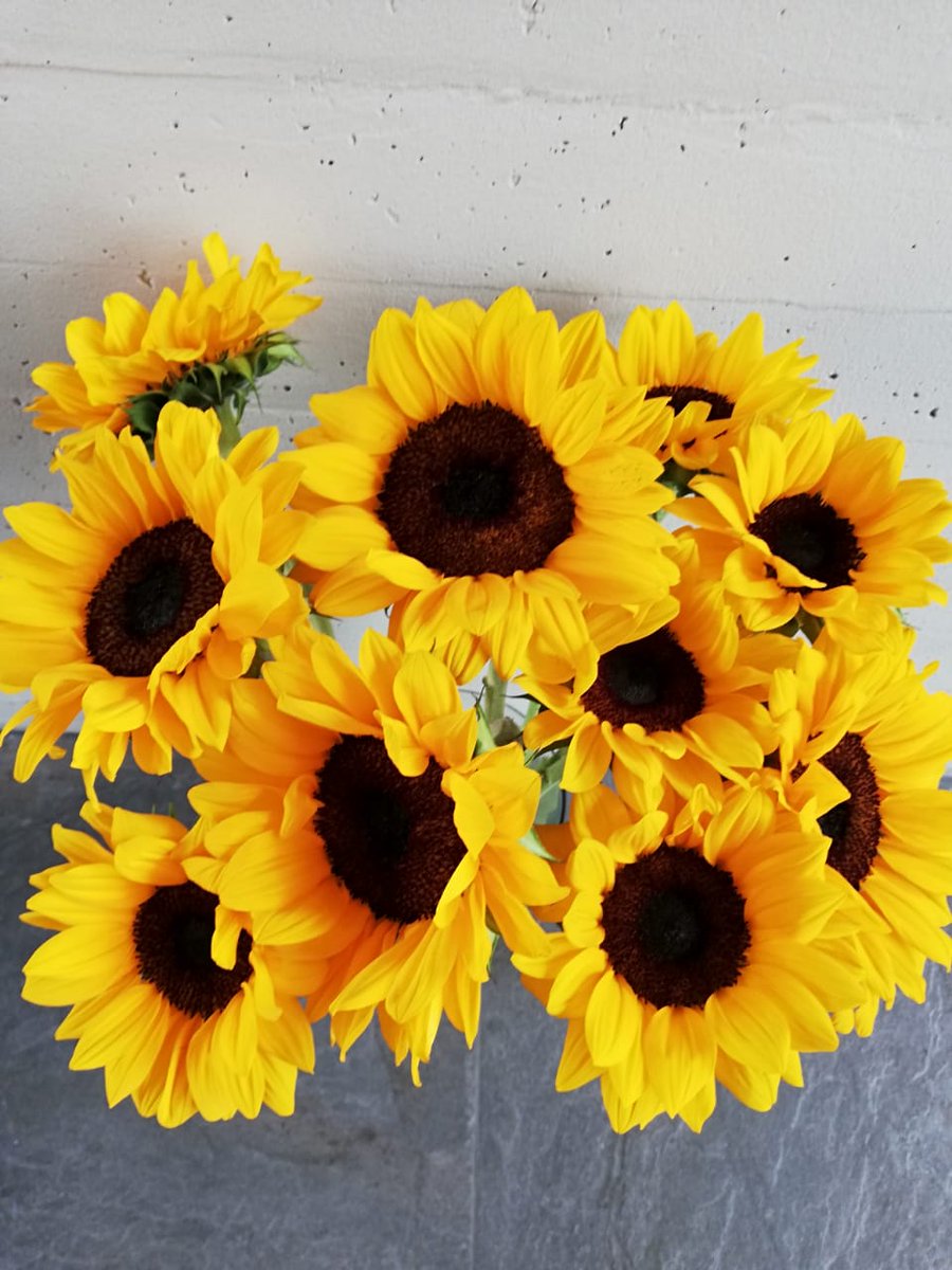 Logistic Farms tweet media