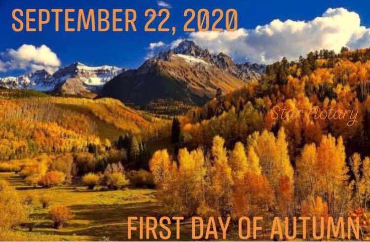 FoxyNotary's tweet image. #getnotarized #ibringmyofficetoyou