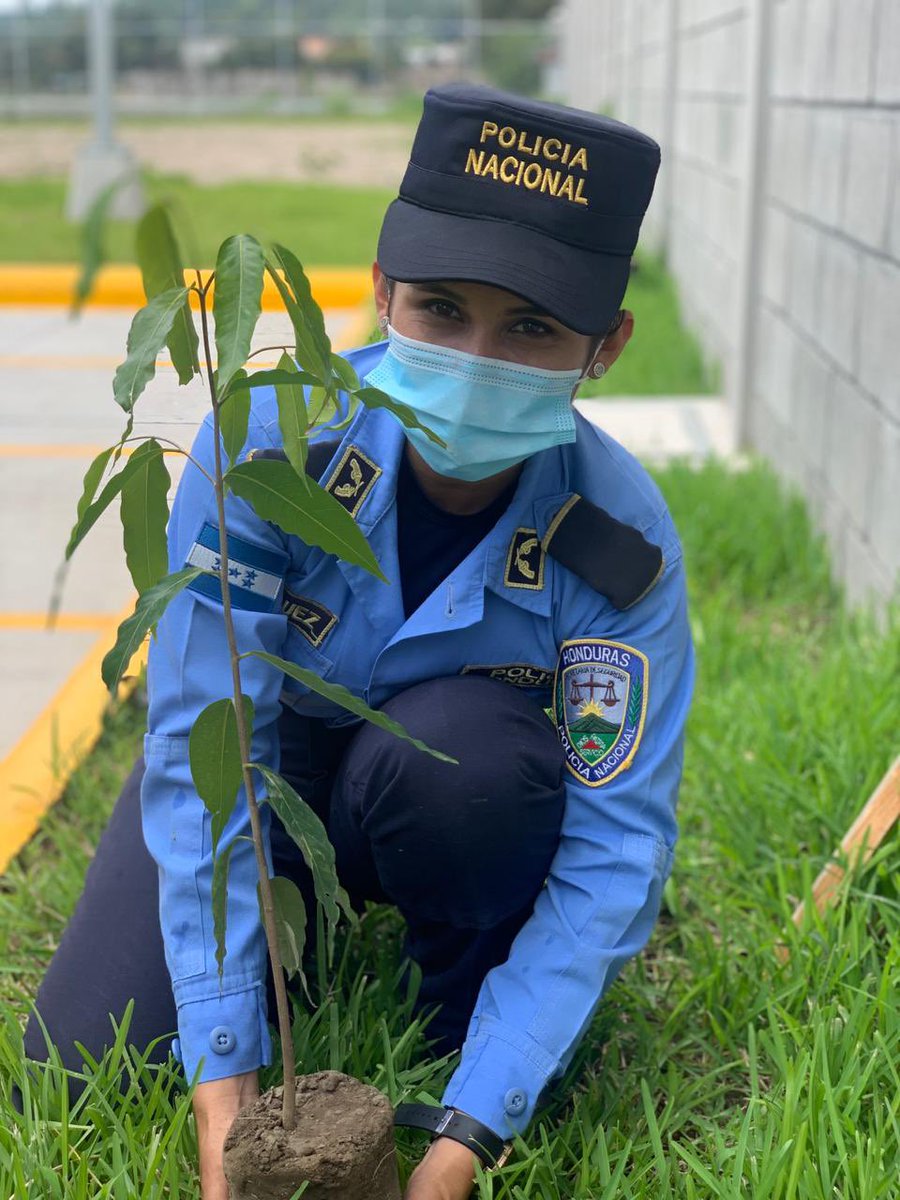 PoliciaHonduras's tweet photo. #YoProtejoElMedioAmbiente 

"Planta un árbol y estarás sembrando conciencia" 🌳👮‍♀️💙 https://t.co/Q5WrmYRUCa