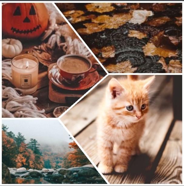 Hogwarts_Server's tweet photo. It's the first day of Autumn and we're hyped!  We're loving this aesthetic made by our staff member @Goldfish_H20. Share your favorite Fall things with us at https://t.co/CpJYCySHl1 #hogwarts #gryffindor #hufflepuff #ravenclaw #slytherin #potterheads #discordserver #fall #autumn https://t.co/giAQm4xJTk