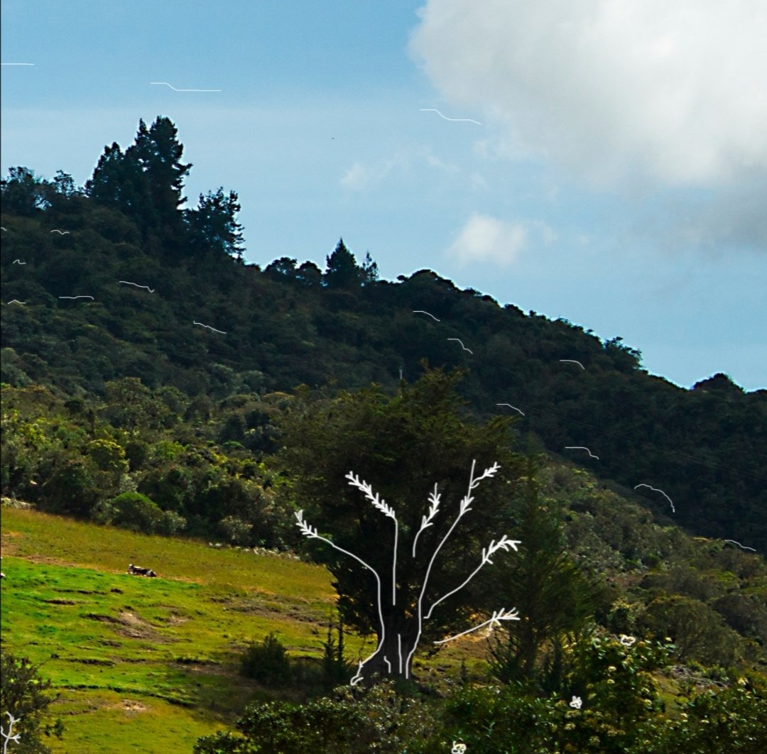 Planeta_Rural's tweet photo. "El campo es nuestro lugar favorito, por su tierra, por su gente, por el aire fresco y sobre todo su resiliencia. ¿Qué es lo que más te gusta del campo?
¡Te leémos!"
#planetarural #ruralamerica #saludrural #ruraldevelopment #ruralwomen #educaciónrural
#Otono2020 https://t.co/vs3yoOHbl7
