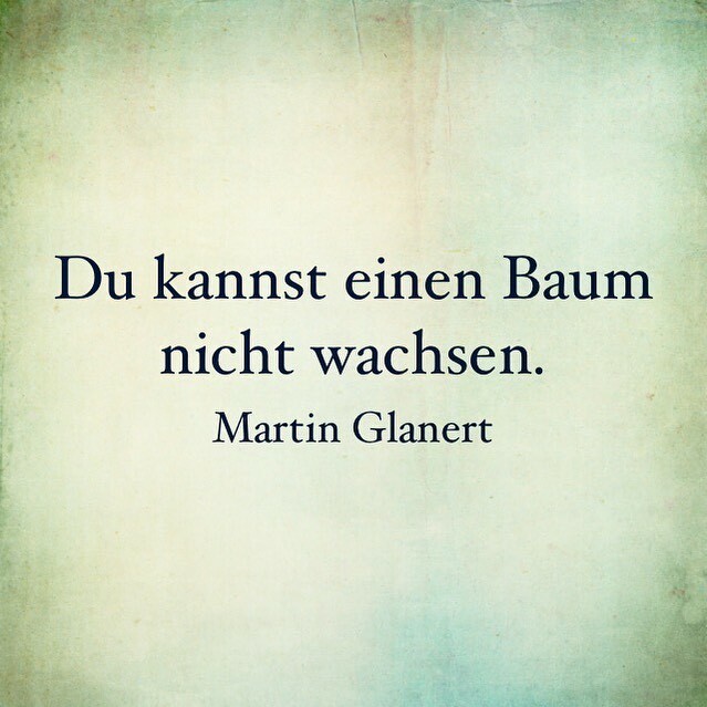 „Du kannst einen Baum nicht wachsen.“ ~ Martin Glanert [Full post @ instagr.am/p/CFc3gppH8JW/]
