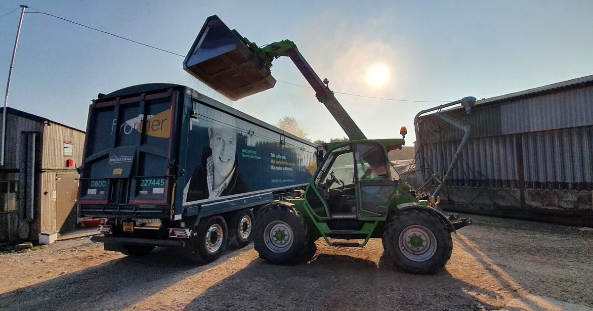 Cheeky load of wheat this morning with #frontier #merlo #farminguk