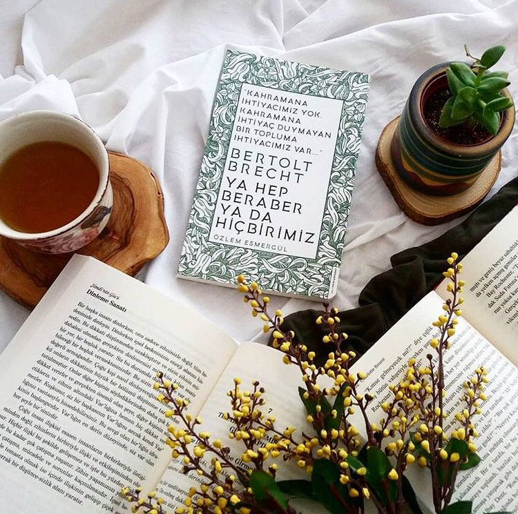 Biyografi okumak başka şeydir özgeçmiş okumak başka... Biyografi bir döneme tanıklık etmektir, ilham almaktır... #biyografi #edebiyat #sanat #kitap #bertoltbrecht #brecht #destekyayınları #özlemesmergül #editör #yazar