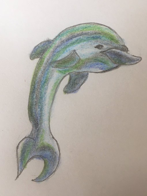 亀 高画質 のtwitterイラスト検索結果