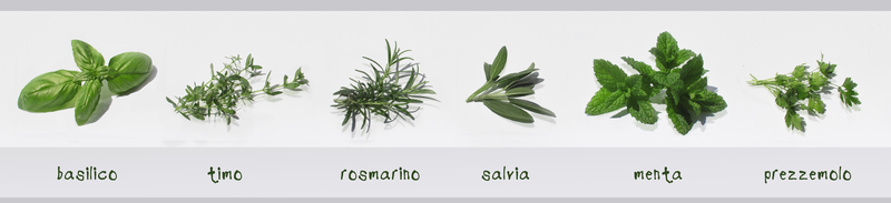 Parsley sage rosemary thyme herbs. чабер пряное растение. анис чабрец. розмарин тимьян и шалфей. чабрец в упаковке.