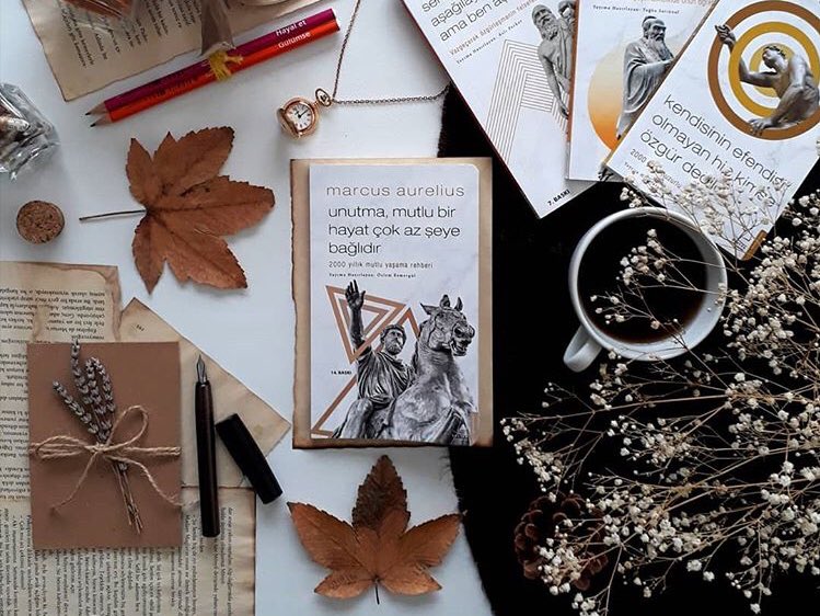 Biyografi okumak bir dönemin kültürel tarihine, sosyolojisine ve ekonomik dinamiklerine bakmaktır. #marcusaurelius #biyografi #felsefe #tarih #kitap #sanat #edebiyat #editör #yazar #özlemesmergül
