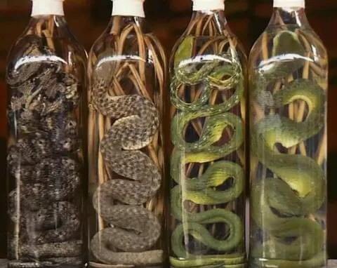 Snake wine is made by adding venomous (or poisonous) snakes to ethanol. Ethanol is just a name we scientists love to call alcohol. Normally, the venom of these snakes would kill you but strangely, those who consume snake wine don't die. Why is this? It is simple, the ethanol