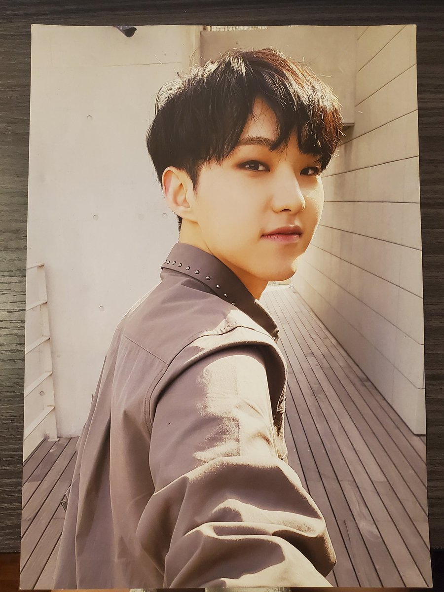 !!VERY RARE!! seventeen 5th mini album al1 2017 Don't Wanna Cry broadcast promotions LIMITED poster• HOSHI $65• signs of discoloration/markings on backside, slight peeling of corners. existent since before he came into my hands. very slight little visible damage to front side